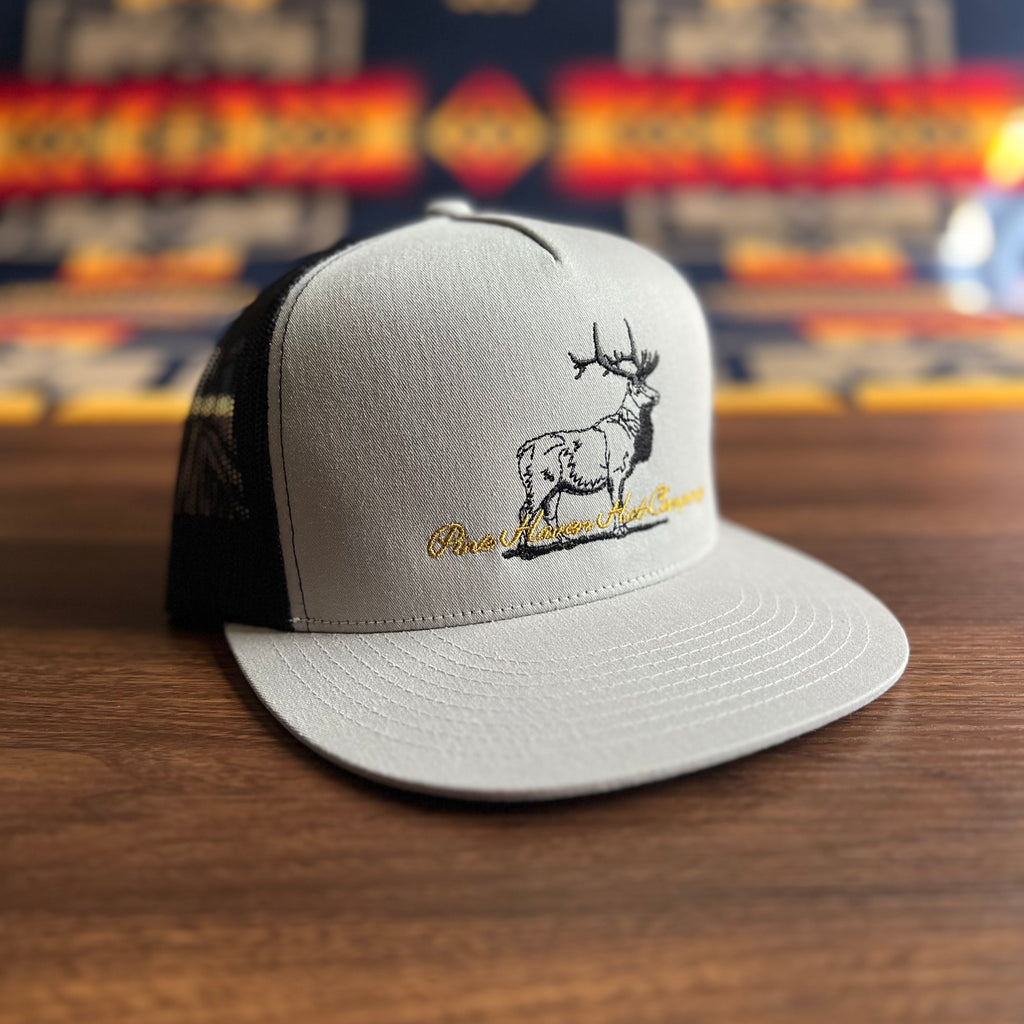 The Trophy Bull